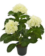 Kunstig Hortensia Deluxe Kremhvit UV 35cm