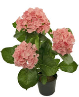 Kunstig Hortensia Deluxe Rosa UV 35cm