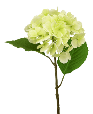 Kunstig Hortensia Hydrangea Krem/Grønn 55cm