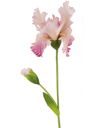 Kunstig Iris Blomst Rosa 80cm