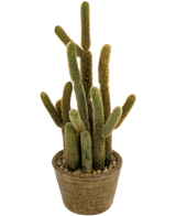 Kunstig Kaktus "Cereus" 35cm