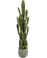 Kunstig Kaktus "Euphorbia" 100 cm