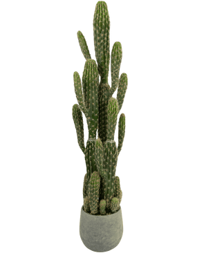 Kunstig Kaktus "Euphorbia" 100 cm