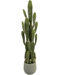 Kunstig Kaktus "Euphorbia" 100 cm