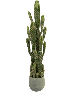 Kunstig Kaktus "Euphorbia" 100 cm