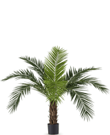 Kunstig Kanari Palme 160cm