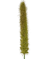 Kunstig Kattehale Gress 150cm brannhemmende
