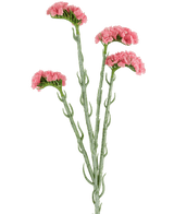 Kunstig Knerisp stilk Rosa 64cm