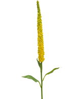 Kunstig Kniphofia Rakettblomst Gul 107cm