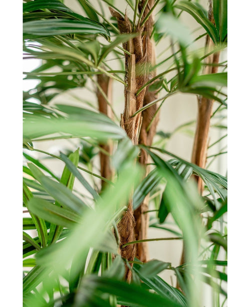 Kunstig Lady Palme 210cm