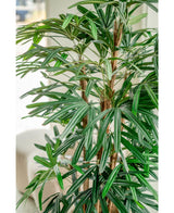 Kunstig Lady Palme Brannsikker 150cm