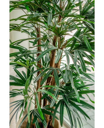 Kunstig Lady Palme Brannsikker 150cm