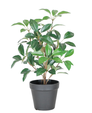 Kunstig Laurbær i Potte UV 43cm