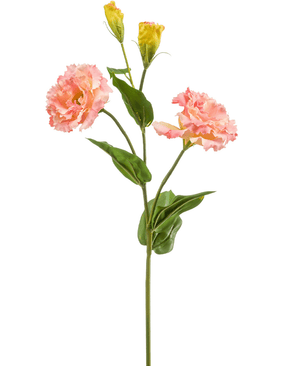 Kunstig Lisianthus Stilk Fersken 62cm