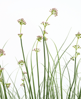 Kunstig Løkgress Fyldig Rosa 120cm