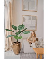 Kunstig Lucuala Grandis plante 120 cm