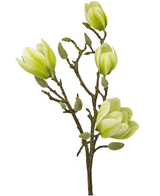 Kunstig Magnolia Gren Hvit/Grønn 50cm