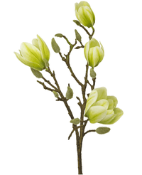 Kunstig Magnolia Gren Hvit/Grønn 50cm