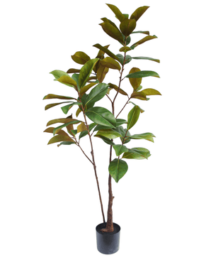 Kunstig Magnolia ‘Teddy Bear’ Tre 150cm