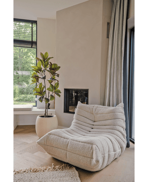 Kunstig Magnolia ‘Teddy Bear’ Tre 150cm