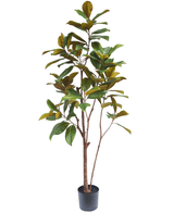 Kunstig Magnolia ‘Teddy Bear’ Tre 180cm