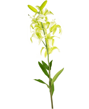 Kunstig Martagonlilje Hvit 78cm