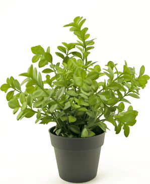 Kunstig Mini Eukalyptus 27cm