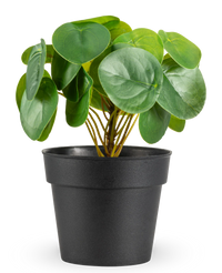 Kunstig Mini Pengeplante 20cm