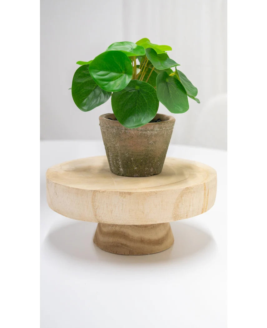 Kunstig Mini Pengeplante i Retropotte UV 15cm