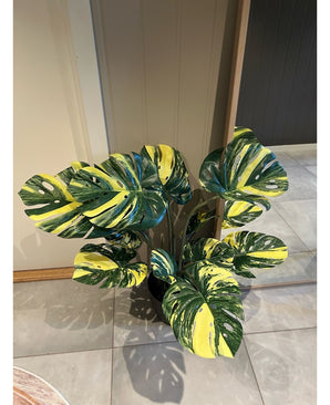 Kunstig Monstera Deliciosa Gul 90cm