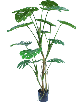 Kunstig Monstera Tre 150 cm