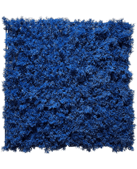 Kunstig Mosevegg Blå Brannsikker 50x50cm