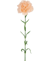 Kunstig Nellikblomst Lysrosa 69cm