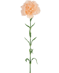 Kunstig Nellikblomst Lysrosa 69cm