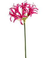 Kunstig Nerine Stilk Beauty 75cm