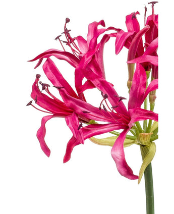 Kunstig Nerine Stilk Beauty 75cm