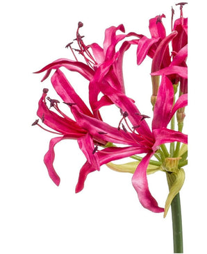 Kunstig Nerine Stilk Beauty 75cm
