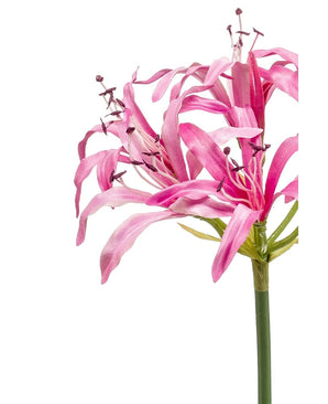 Kunstig Nerine Stilk Rosa 75cm