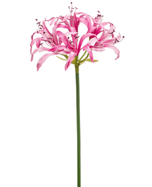 Kunstig Nerine Stilk Rosa 75cm