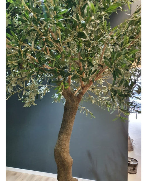 Kunstig Oliventre Gigant m/Oliven 270cm