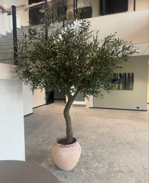 Kunstig Oliventre Gigant m/Oliven 270cm