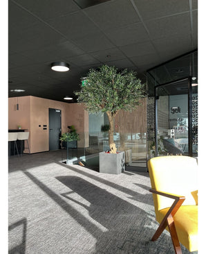 Kunstig Oliventre Gigant m/Oliven 300cm