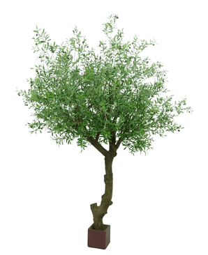 Kunstig Oliventre Gigant m/Oliven 300cm