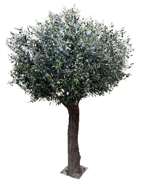 Kunstig Oliventre Kalamata m/Oliven 300cm