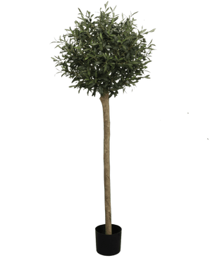 Kunstig Oliventre UV 150 cm