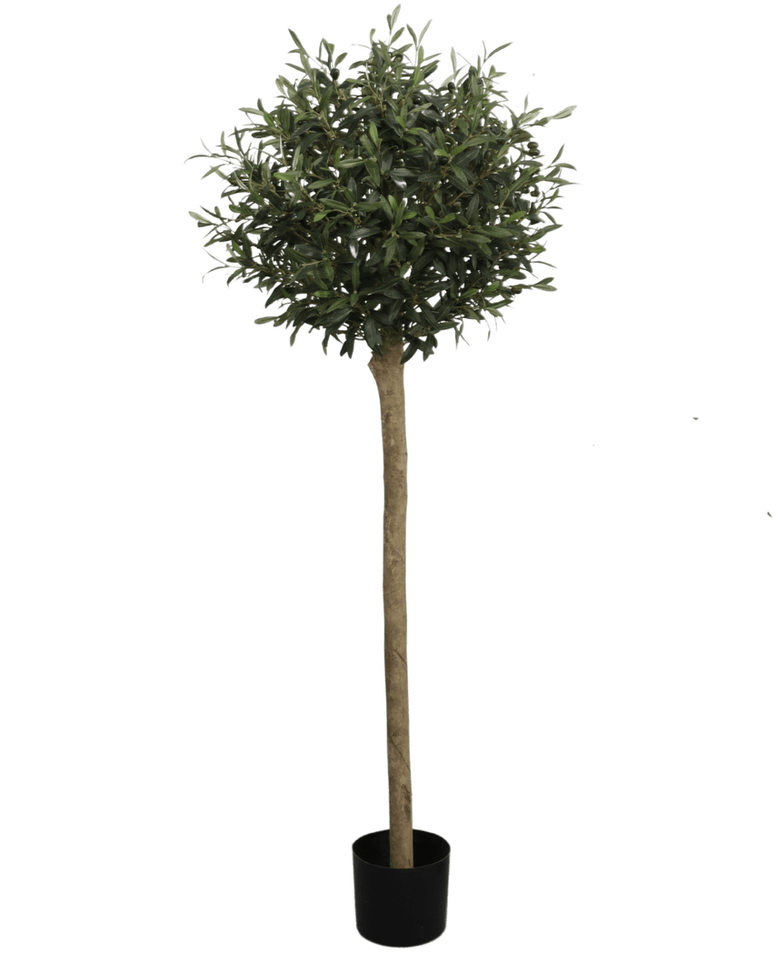 Kunstig Oliventre UV 150 cm