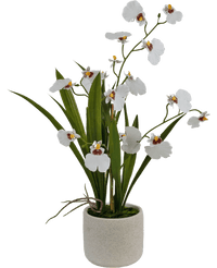 Kunstig Oncidium Orkidé Real Touch Hvit 48cm
