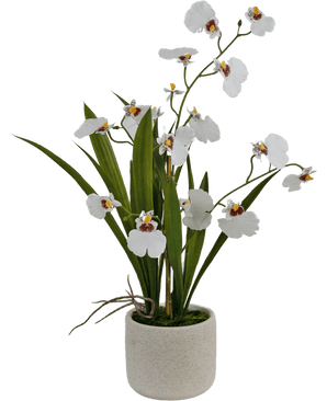 Kunstig Oncidium Orkidé Real Touch Hvit 48cm