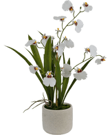 Kunstig Oncidium Orkidé Real Touch Hvit 48cm