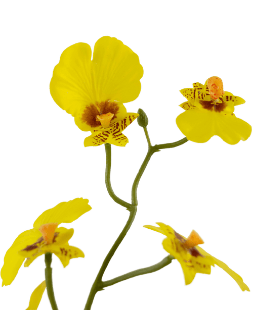 Kunstig Oncidium orkidé Real Touch Gul 48cm
